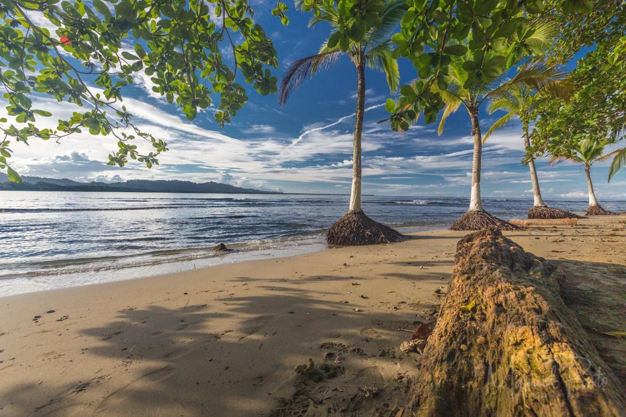 Вілла Casa Ylang In Black Sand Beach Puerto Viejo de Talamanca Екстер'єр фото