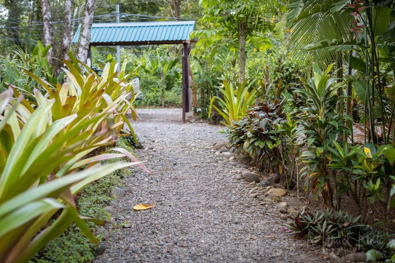 Вілла Casa Ylang In Black Sand Beach Puerto Viejo de Talamanca Екстер'єр фото